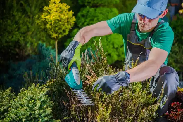 landscaping services Vandalia